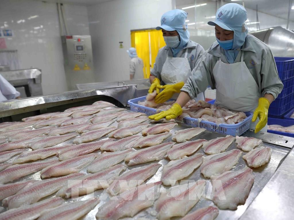 Xuất nhập khẩu năm 2022 có thể cán đích 700 tỷ USD